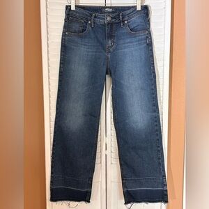 Silver Blue jeans size W27/L26 Izzy Wide Leg Crop waist 27 raw hem stretch